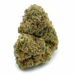 Popcorn Bubble Gum Cheese