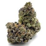 Sun Peaks Cultivation - Predator Pink