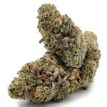 Enigma Extracts - Greasy Runtz