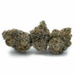 Enigma Extracts - Gummy Buns