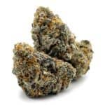 Sun Peaks Cultivation - White Widow