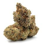 Enigma Extracts - Lilac Cookies