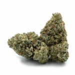 Sun Peaks Cultivation - Skunk #1