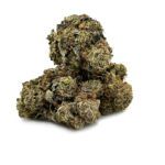 Enigma Extracts - 33 Splitter