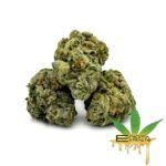 Enigma Extracts - Alien Marker