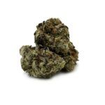 Enigma Extracts - Neon Lights