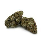 Enigma Extracts - Neon Lights