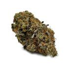 Enigma Extracts - White Death