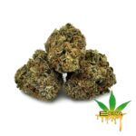 Enigma Extracts - White Death