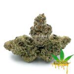 Enigma Extracts - 33rd Degree