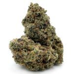 Enigma Extracts - Animal Star Cookies