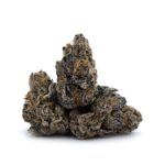 Enigma Extracts - Animal Star Cookies