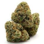 Enigma Extracts - Apple Jack