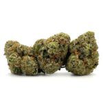 Enigma Extracts - Apple Jack