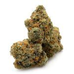 Enigma Extracts - Apples and Bananas