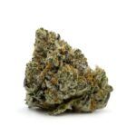 Enigma Extracts - Baker's Delight