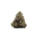 Enigma Extracts - Black Biscotti - Smalls