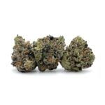 Enigma Extracts - Black Biscotti - Smalls