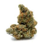 Enigma Extracts - Cactus Jack