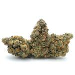 Enigma Extracts - Cactus Jack