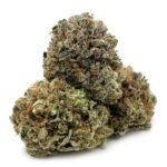 Enigma Extracts - Comatose OG