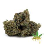 Enigma Extracts - El Chapo