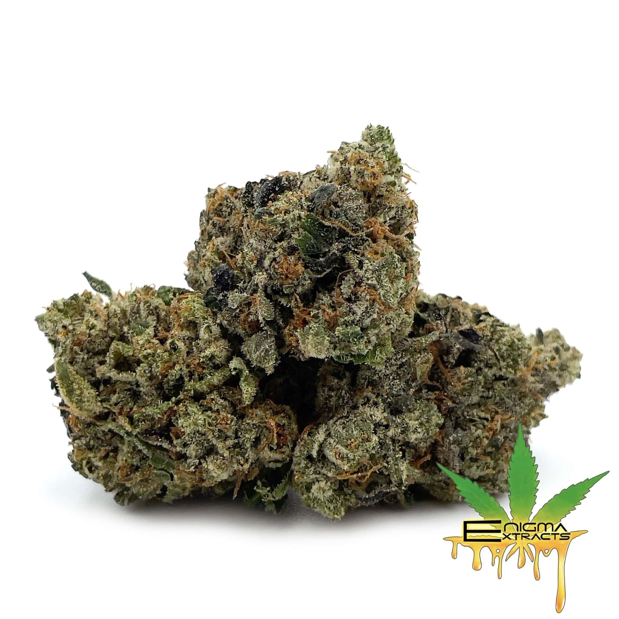 Enigma Extracts - El Chapo