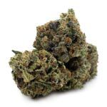 Enigma Extracts - El Chapo