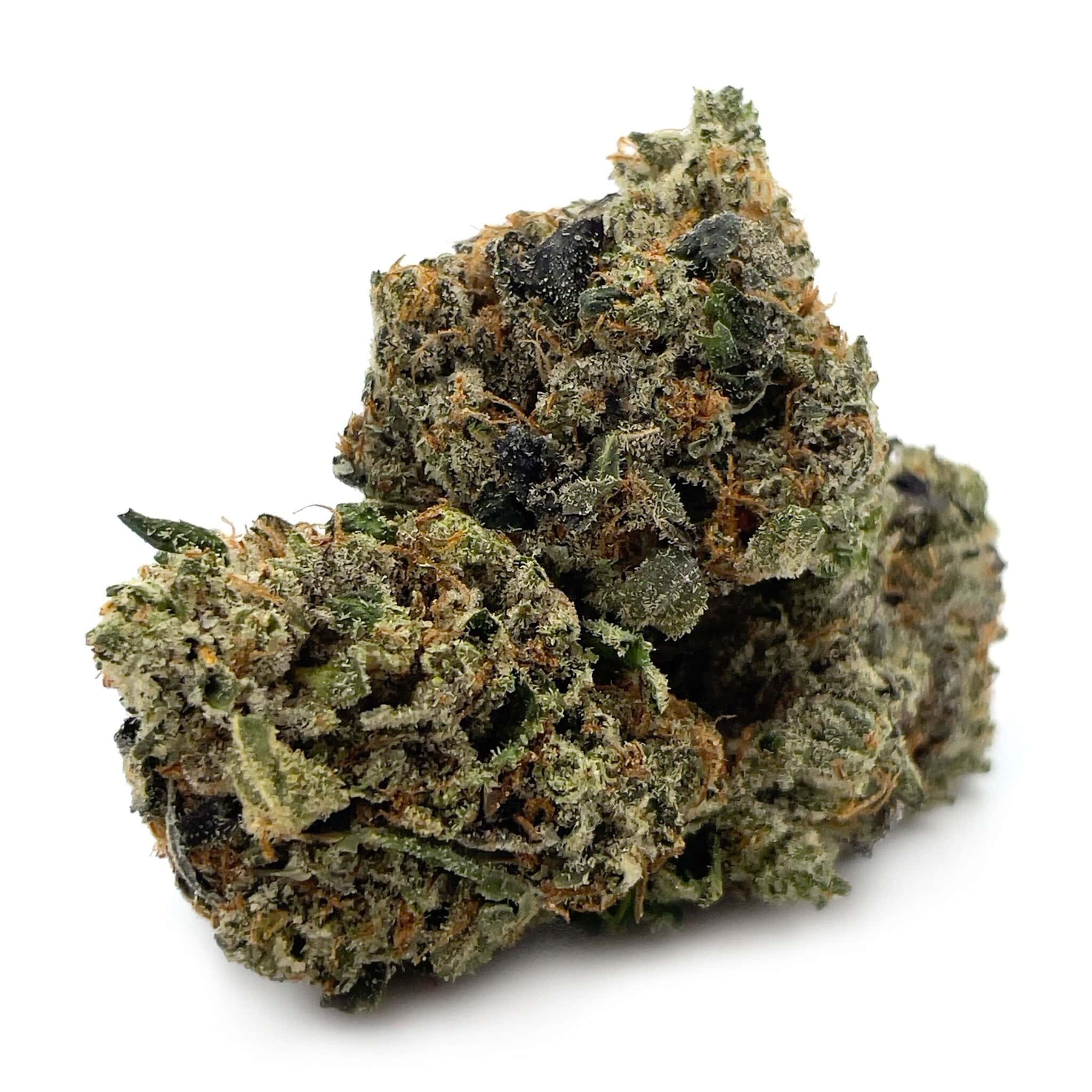 Enigma Extracts - El Chapo