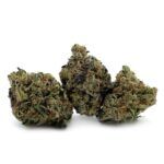 Enigma Extracts - El Chapo