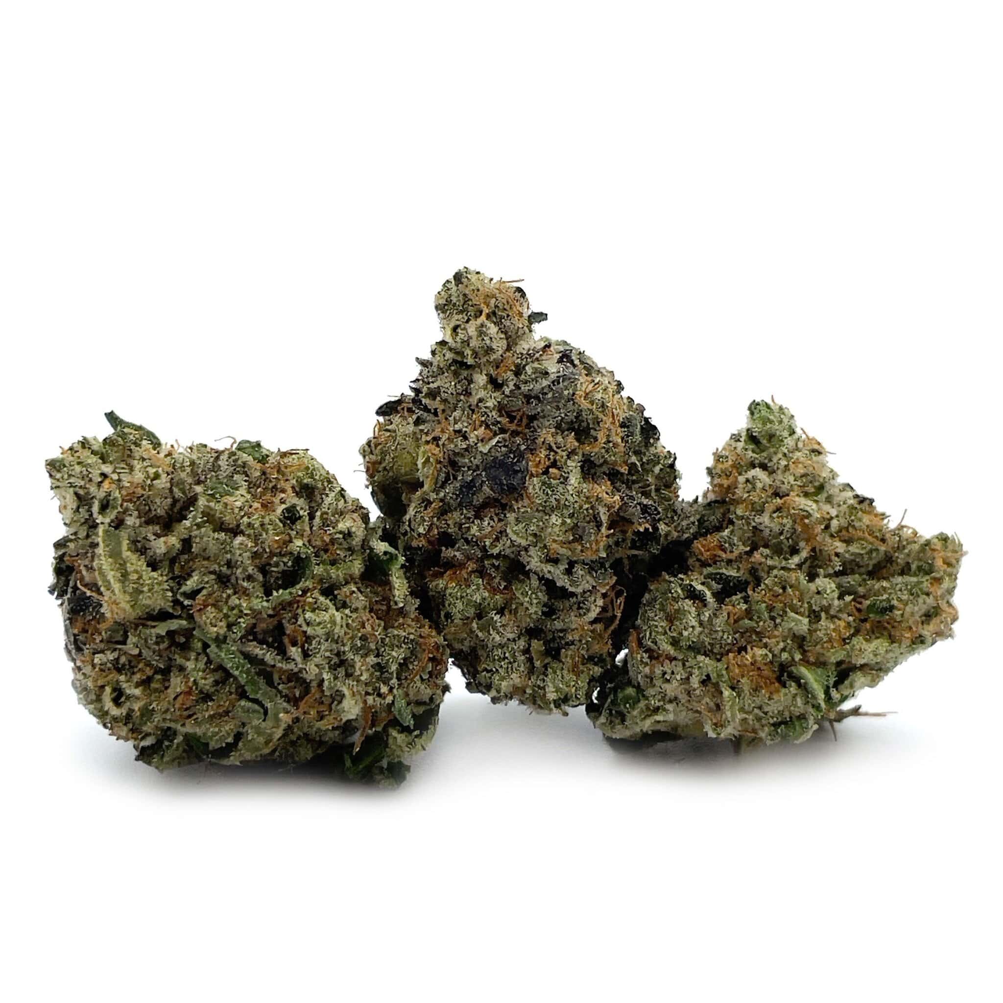 Enigma Extracts - El Chapo