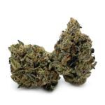 Enigma Extracts - El Chapo