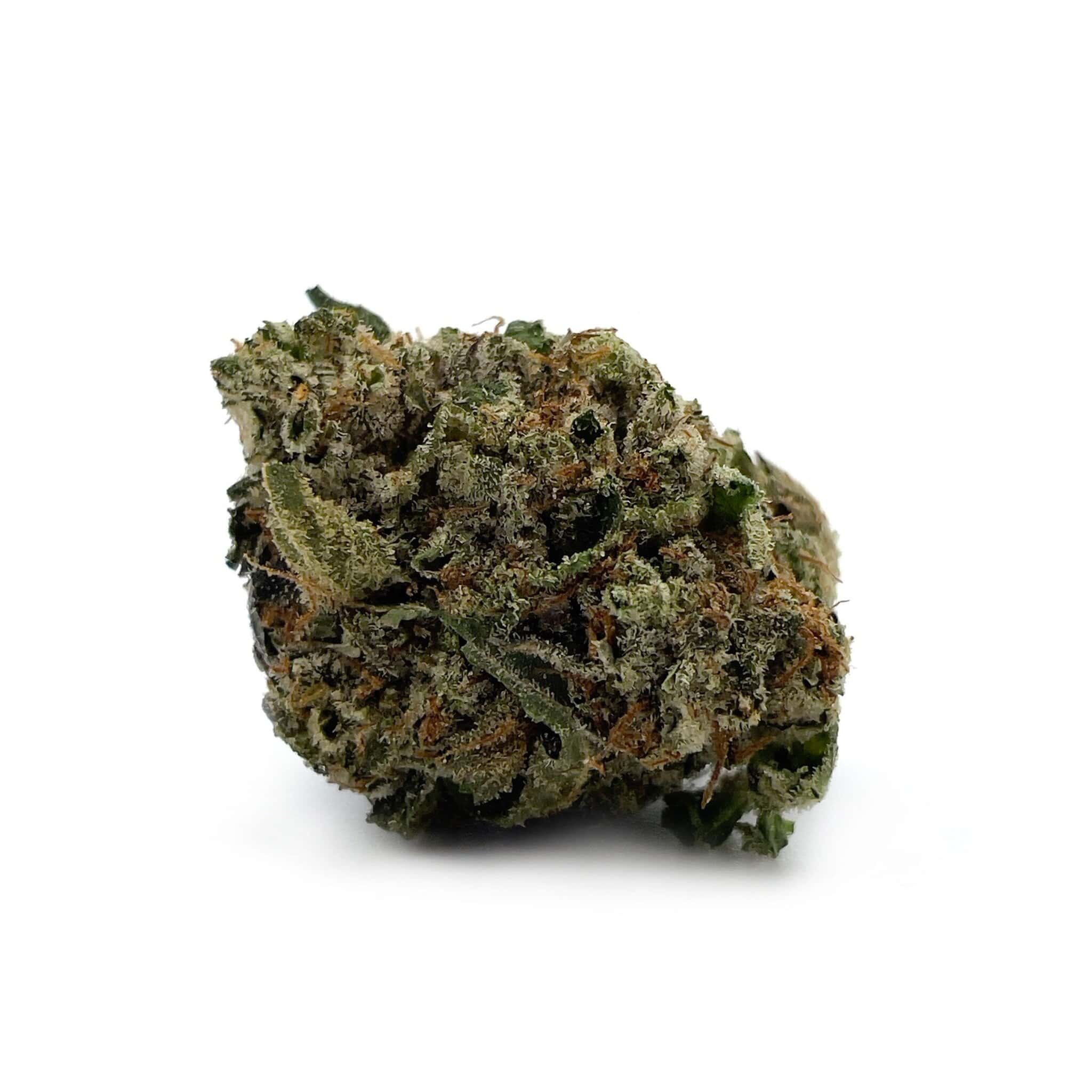 Enigma Extracts - El Chapo