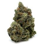 Enigma Extracts - El Muerte