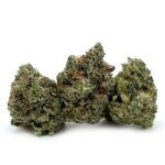 Enigma Extracts - El Muerte