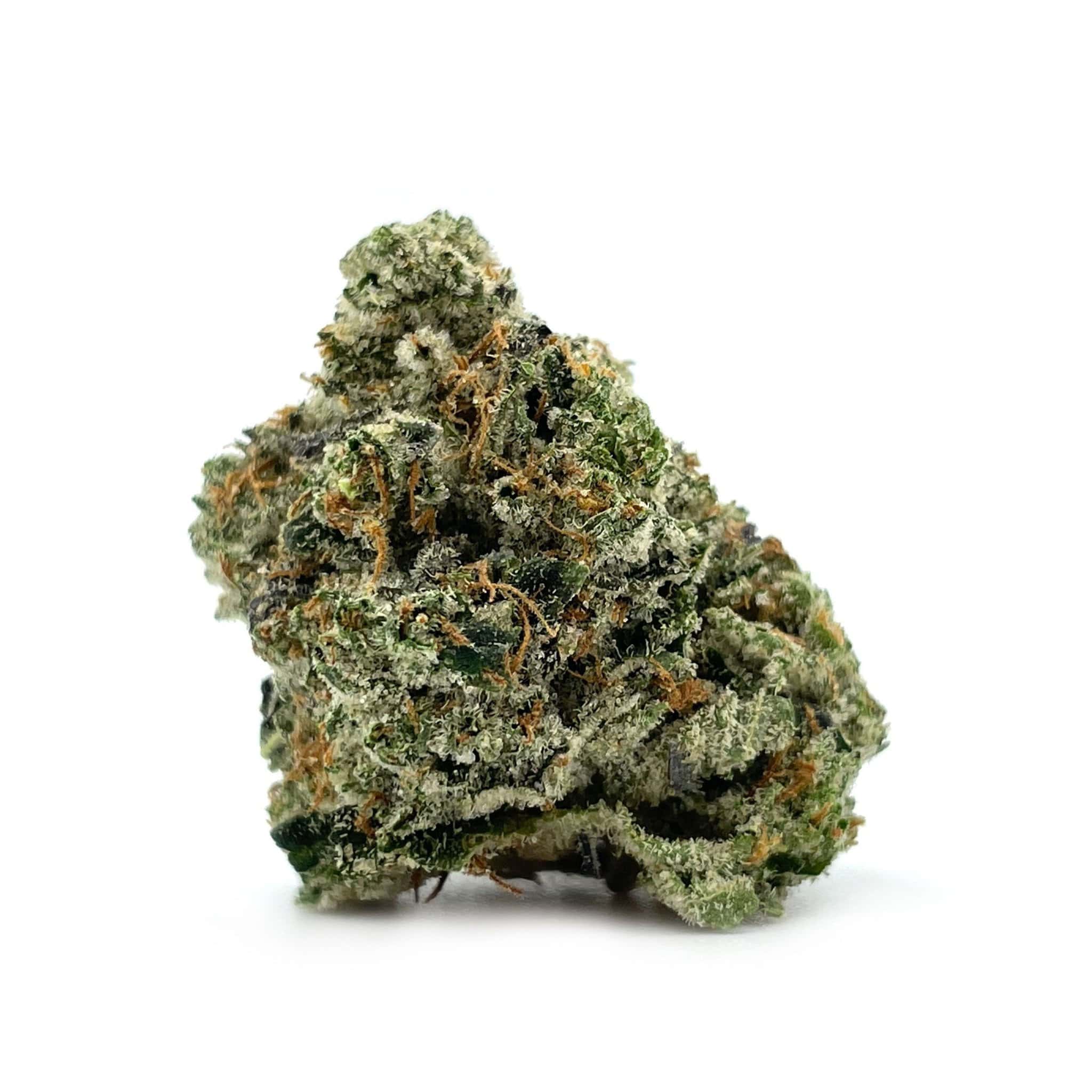 Enigma Extracts - El Muerte