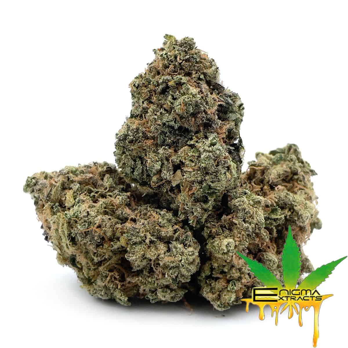 Enigma Extracts - Animal Star Cookies