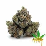 Enigma Extracts - Black Biscotti - Smalls