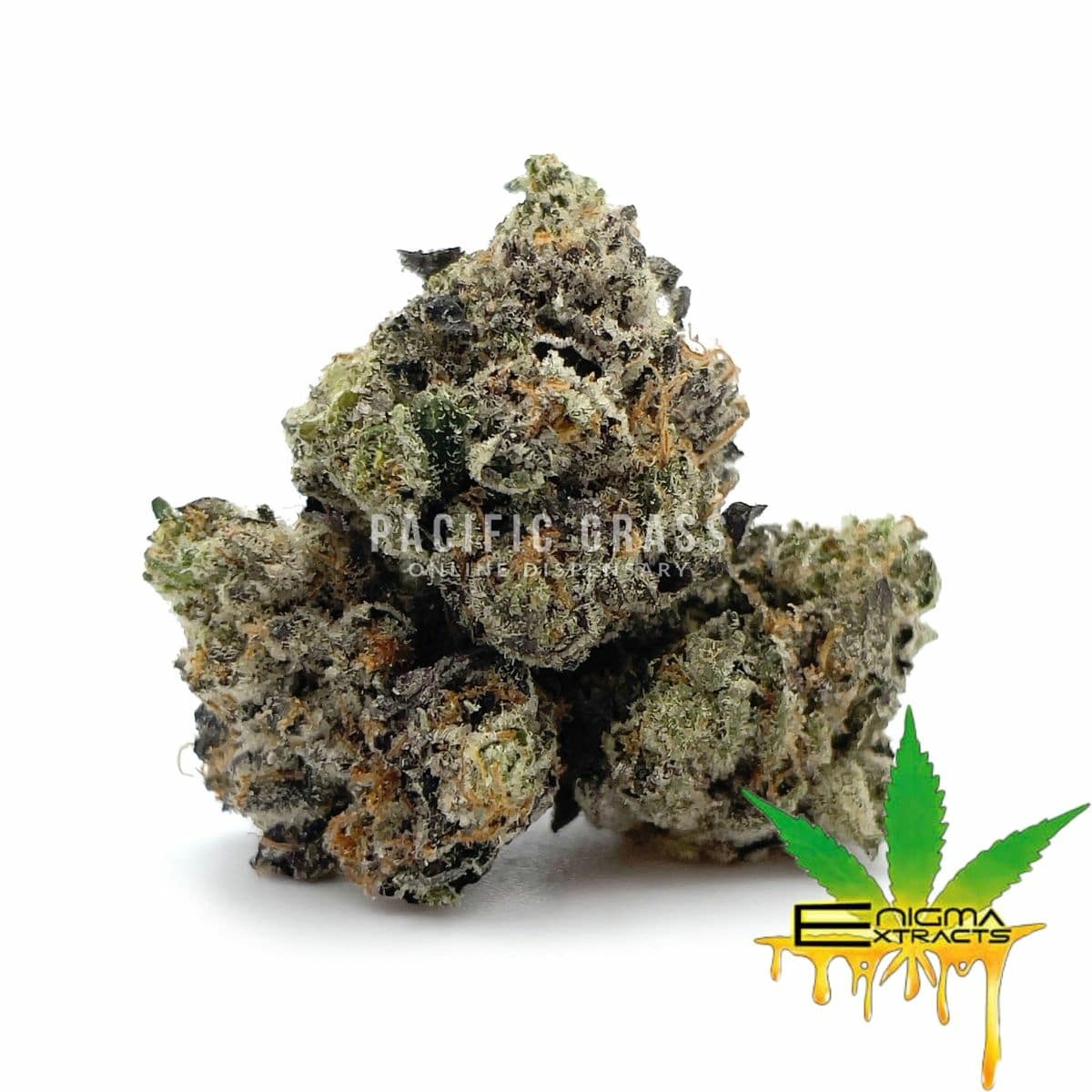 Enigma Extracts - Black Biscotti - Smalls