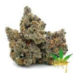 Enigma Extracts - Cheetah Piss