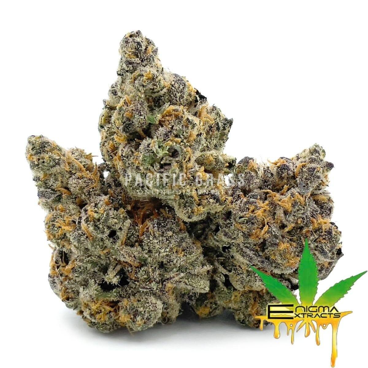 Enigma Extracts - Cheetah Piss