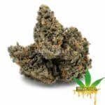 Enigma Extracts - Dosi Sundae