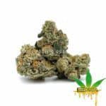 Enigma Extracts - Eleven Roses - Smalls