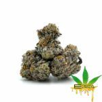 Enigma Extracts - G8 - Smalls