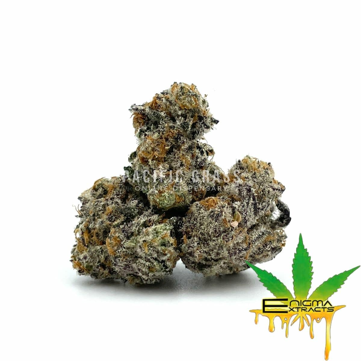 Enigma Extracts - G8 - Smalls