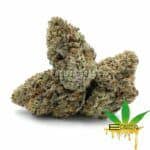 Enigma Extracts - Greasy Runtz