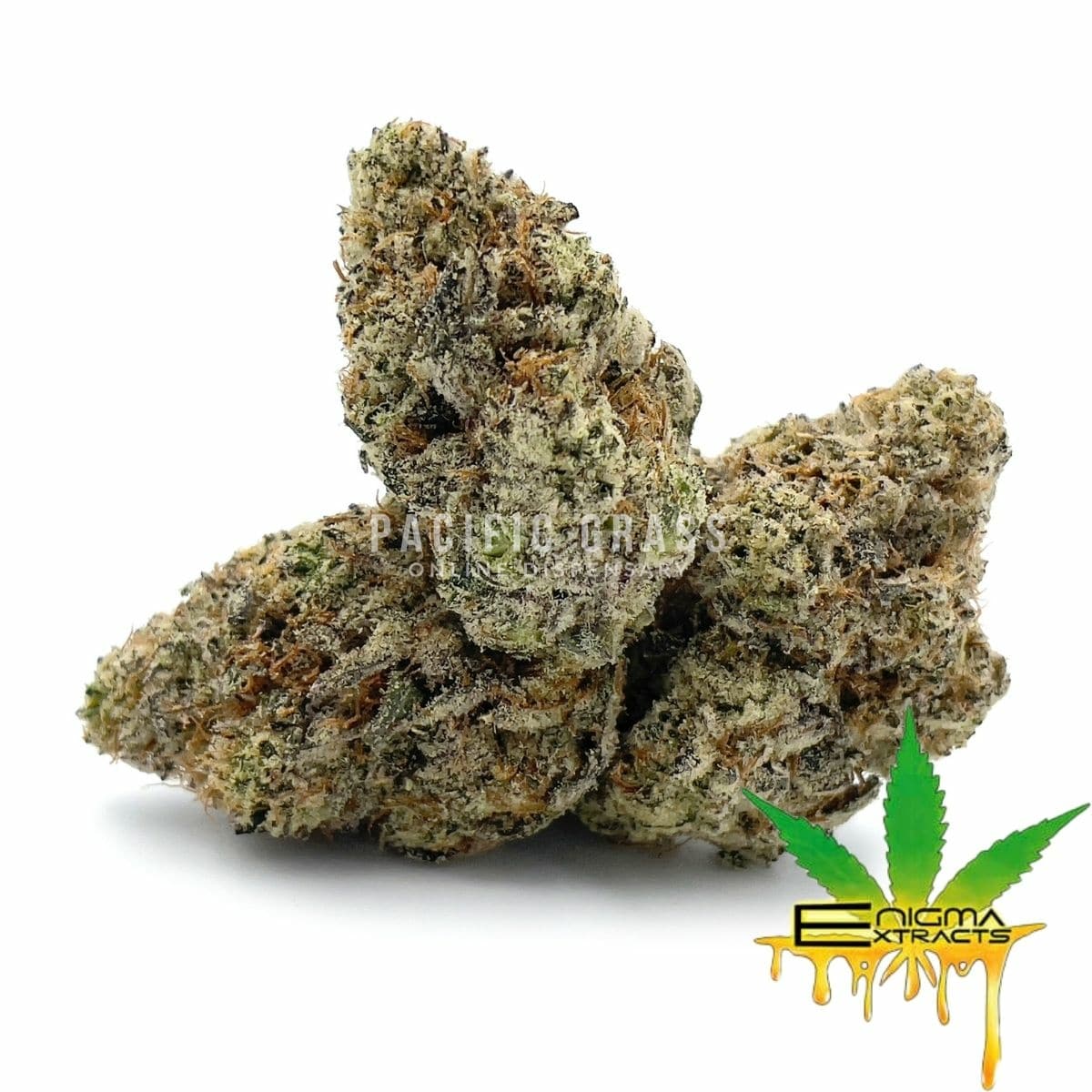 Enigma Extracts - Greasy Runtz