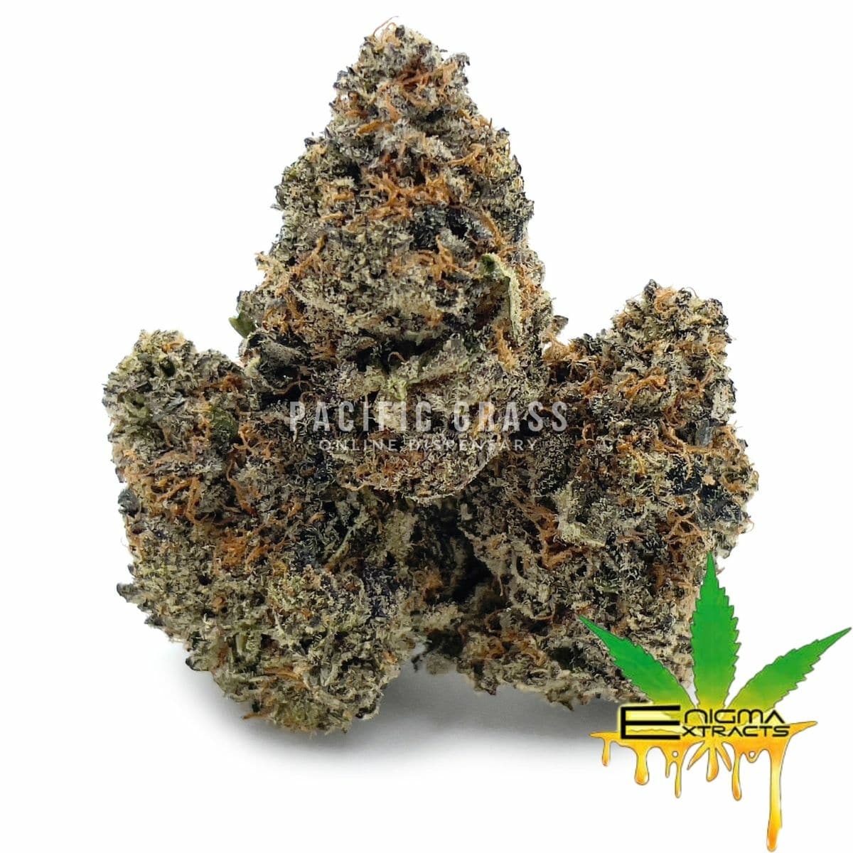 Enigma Extracts - Gummy Bunz