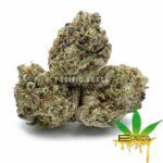 Enigma Extracts - Kombucha