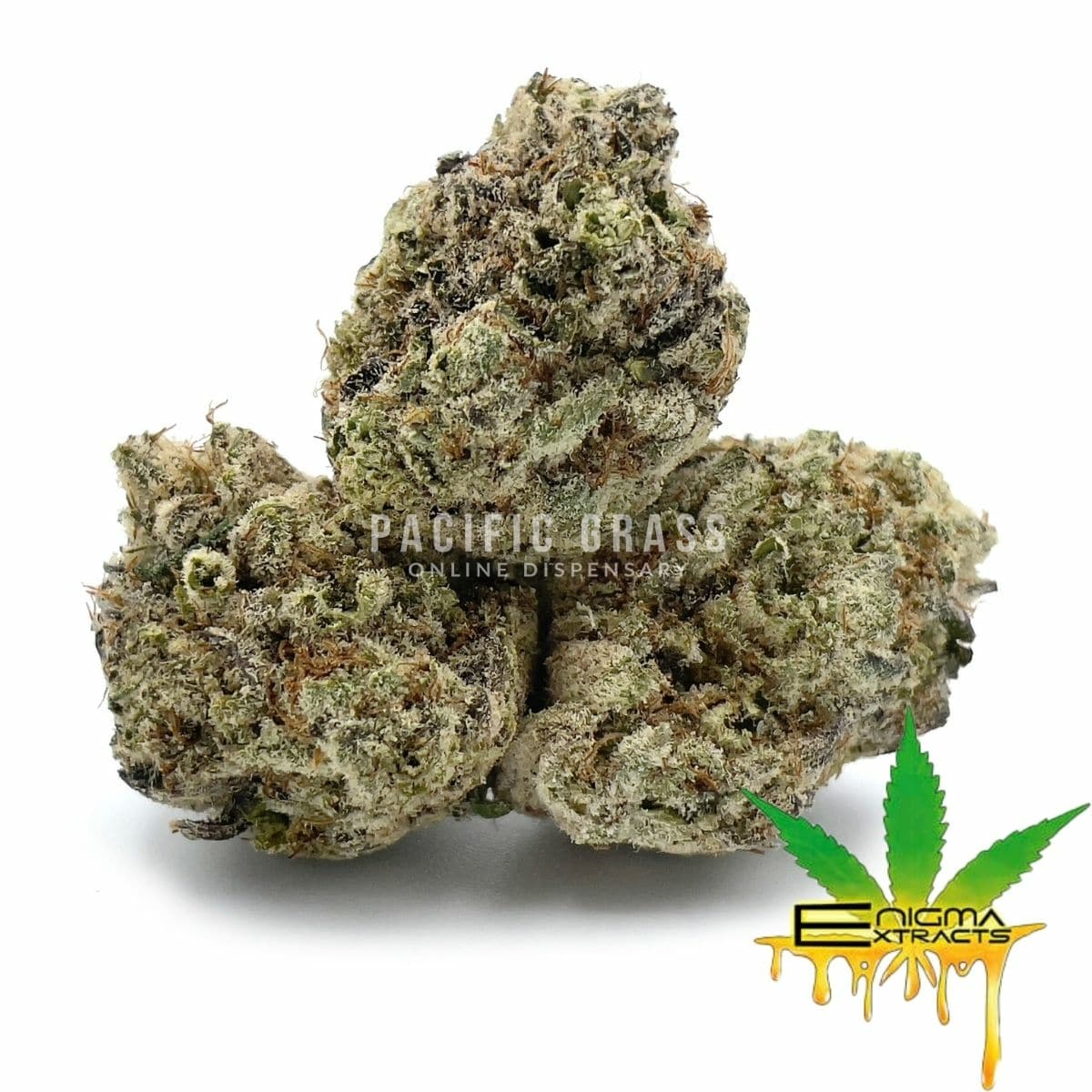 Enigma Extracts - Kombucha